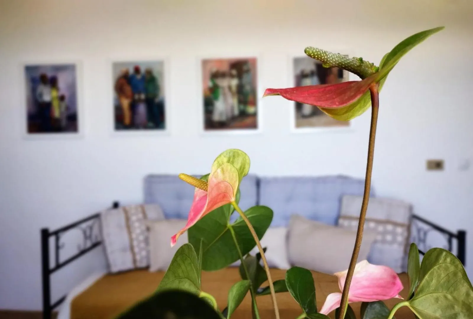 Homestay Casa Arte De Sorvilan